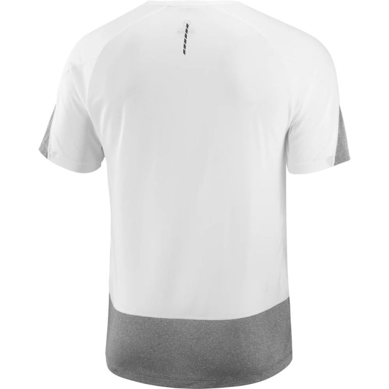 Salomon Cross Run Short Sleeve Men's T-Shirts White / Grey | CA 23Y84